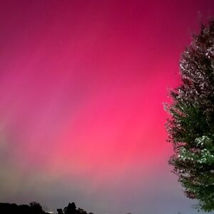 Meet your Posher, Nina sofia